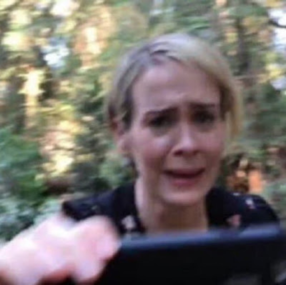 Meet your Posher, Sav